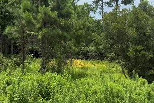 1015 Meridian Dr, Sneads Ferry, NC 28460 - Photo 1