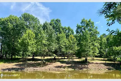 291 Gails Road, West End, NC 27376 - Photo 2