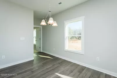 114 Chester Place, Pikeville, NC 27863 - Photo 14