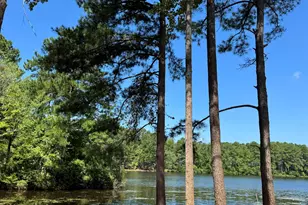 15 Goldenrod Dr, Whispering Pines, NC 28327 - Photo 52