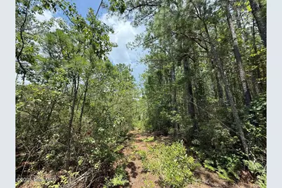 Lot 95 Carolina Shores, Bath, NC 27808 - Photo 28