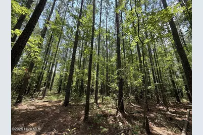 Lot 95 Carolina Shores, Bath, NC 27808 - Photo 32
