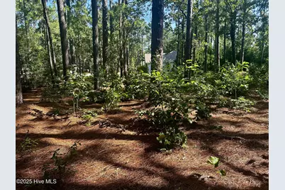 16 Moore Drive, Pinehurst, NC 28374 - Photo 8