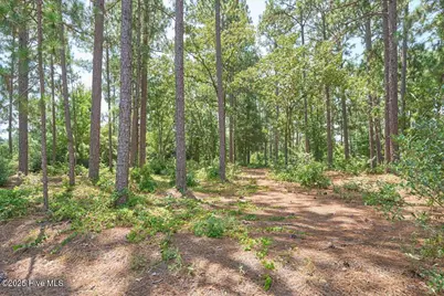 16 Moore Drive, Pinehurst, NC 28374 - Photo 2