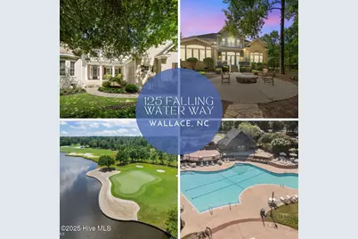 125 Falling Water Way, Wallace, NC 28466 - Photo 2