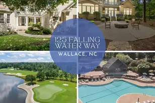 125 Falling Water Way, Wallace, NC 28466 - Photo 2