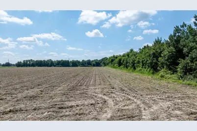 000 Oberry Road, Dudley, NC 28333 - Photo 14