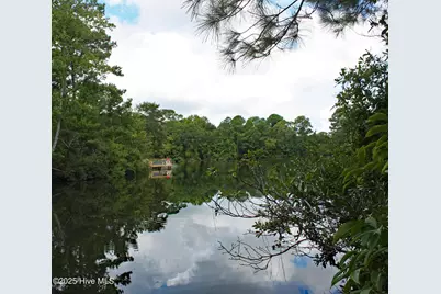 739 Loblolly Drive SW, Shallotte, NC 28470 - Photo 4