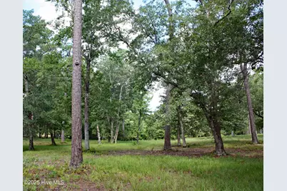 739 Loblolly Drive SW, Shallotte, NC 28470 - Photo 2