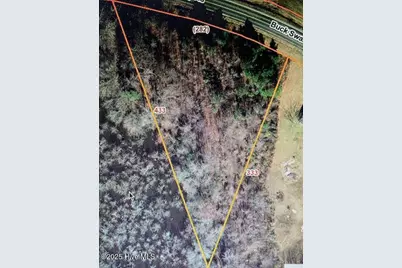 0 Buck Swamp Road, Goldsboro, NC 27530 - Photo 2
