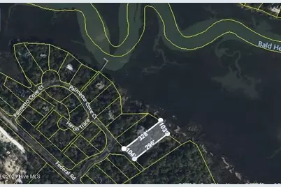 2025 Palmetto Cove, Bald Head Island, NC 28461 - Photo 6