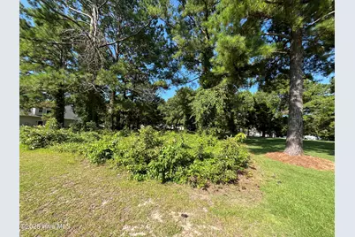 205 Egret Point Drive, Sneads Ferry, NC 28460 - Photo 4