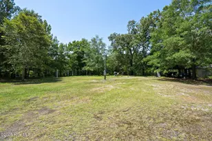 364 Murray Turner Farm Rd, Burgaw, NC 28425 - Photo 64