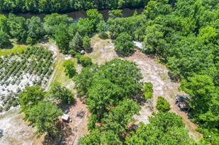 364 Murray Turner Farm Rd, Burgaw, NC 28425 - Photo 66