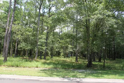 469 Shiloh Lane SE, Bolivia, NC 28422 - Photo 2