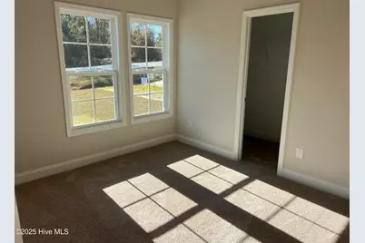 133 Dallas Drive, Beulaville, NC 28518 - Photo 2