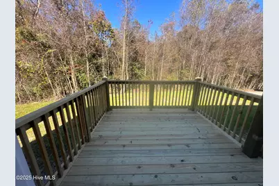 133 Dallas Drive, Beulaville, NC 28518 - Photo 12