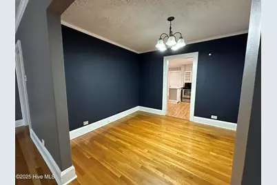 212 Richmond Avenue, Hamlet, NC 28345 - Photo 8