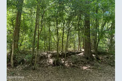 000 Nc-133, Rocky Point, NC 28457 - Photo 40