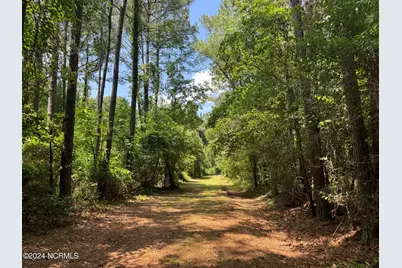 000 Nc-133, Rocky Point, NC 28457 - Photo 1
