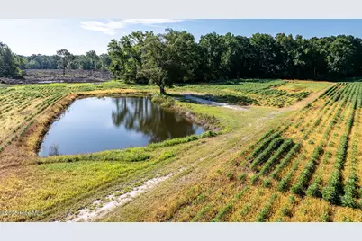 10455 US Hwy 701 Highway, Newton Grove, NC 28366 - Photo 16