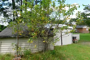 1010 W Scotsdale Rd, Laurinburg, NC 28352 - Photo 88