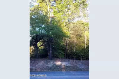 Tbd Hwy 74 E, Hamlet, NC 28345 - Photo 6