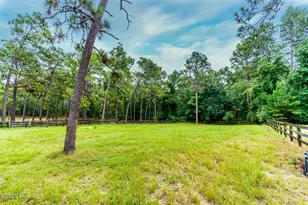 292 Bump a Long Ln, Southern Pines, NC 28387 - Photo 74