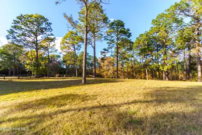 292 Bump A Long Lane, Southern Pines, NC 28387 - Photo 20