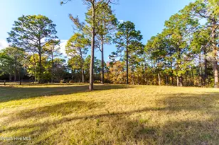292 Bump a Long Ln, Southern Pines, NC 28387 - Photo 20