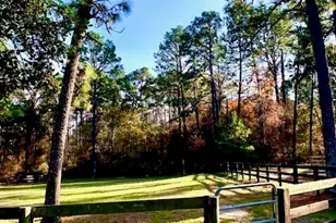 292 Bump a Long Ln, Southern Pines, NC 28387 - Photo 10