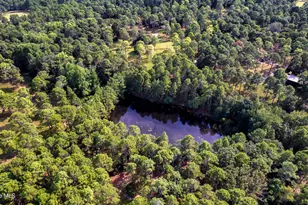 292 Bump a Long Ln, Southern Pines, NC 28387 - Photo 78