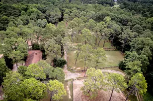 292 Bump a Long Ln, Southern Pines, NC 28387 - Photo 68