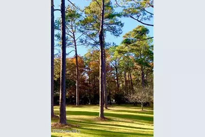 292 Bump A Long Lane, Southern Pines, NC 28387 - Photo 8
