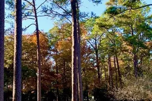 292 Bump a Long Ln, Southern Pines, NC 28387 - Photo 8