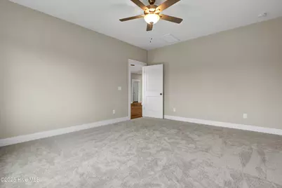 20 Peach Court, Burgaw, NC 28425 - Photo 18