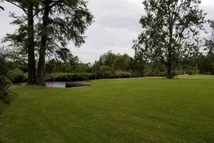 39488 Hwy Nc 264 E, Belhaven, NC 27810 - Photo 16