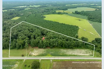 393 Moltonville Road, Clinton, NC 28328 - Photo 40