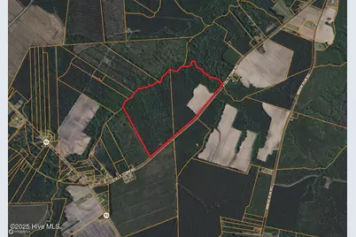 0 Sr 1954, Blounts Creek, NC 27814 - Photo 10
