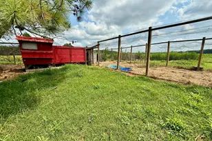 1885 Bennett Rd, Oak City, NC 27857 - Photo 132