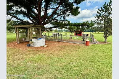 1885 Bennett Road, Oak City, NC 27857 - Photo 136