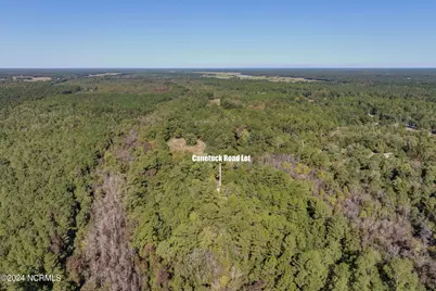 6715 Canetuck Road, Currie, NC 28435 - Photo 36