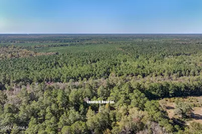 6715 Canetuck Road, Currie, NC 28435 - Photo 30