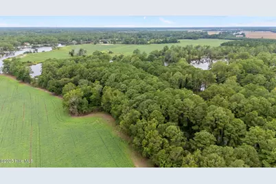 809 Sailhaven Drive, Oriental, NC 28571 - Photo 10