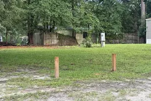 3205 Mount Misery Rd NE, Leland, NC 28451 - Photo 1