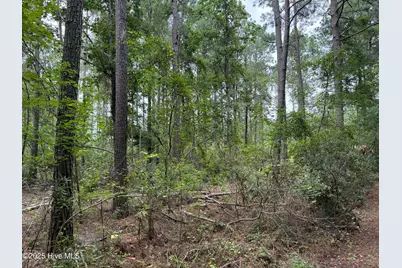 0 Sr 1932, Aurora, NC 27806 - Photo 6