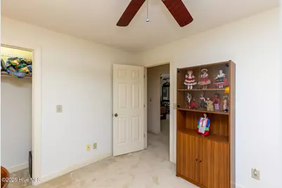 241 Firetree Lane, West End, NC 27376 - Photo 20