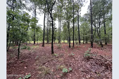 3022 Georgiana Circle SE, Bolivia, NC 28422 - Photo 16