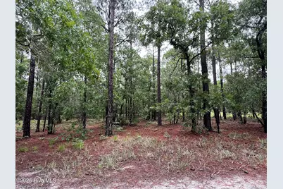 3022 Georgiana Circle SE, Bolivia, NC 28422 - Photo 8