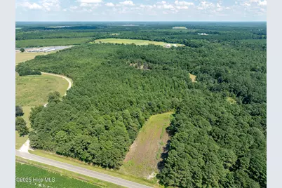 Tbd (1951) Carrtown Dr., Greenevers, NC 28458 - Photo 2